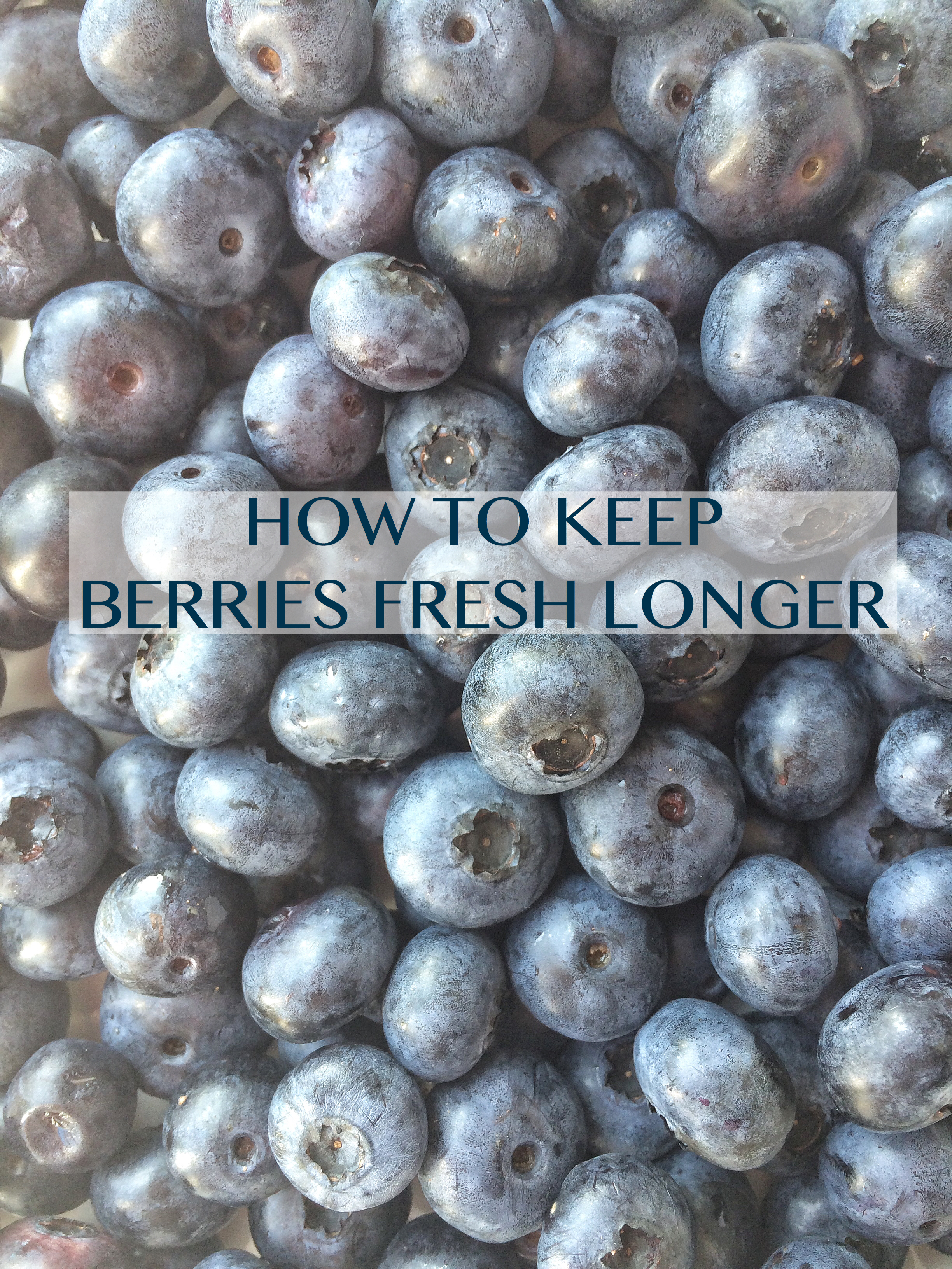 Kitchen Tip How to Keep Berries Fresh Longer Together as Family