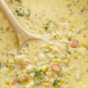 Vegetable Chowder is so cheesy and full of fresh veggies like broccoli, carrots, celery, potatoes, and corn! Even kids will eat this veggie-packed chowder recipe.
