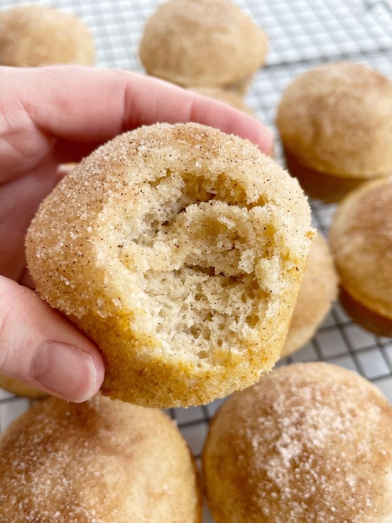 hand holding a cinnamon and sugar donut muffin with a bite taken out of it