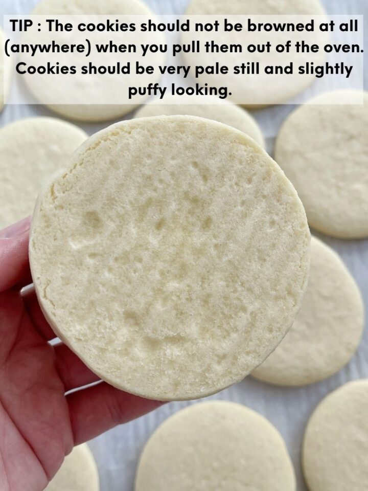 Family Favorite Sugar Cookie Recipe