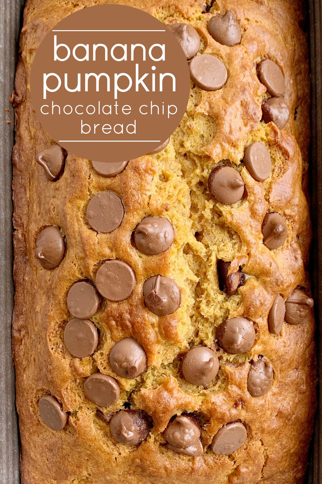 Banana Pumpkin Chocolate Chip Bread | Pumpkin Bread | Banana Bread | Banana Pumpkin Bread is a must-make quick bread recipe! Sweet bananas, pure pumpkin, and chocolate chips combine to make the best, most moist, pumpkin bread ever. It bakes up to perfection and is a yummy fall recipe. #pumpkinrecipes #pumpkinbread #fallbaking #quickbread #bananabread #pumpkin