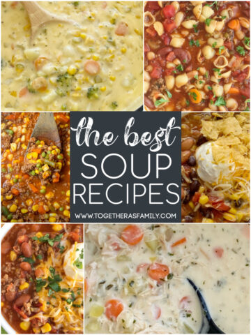 The Best Soup Recipes all in one place!