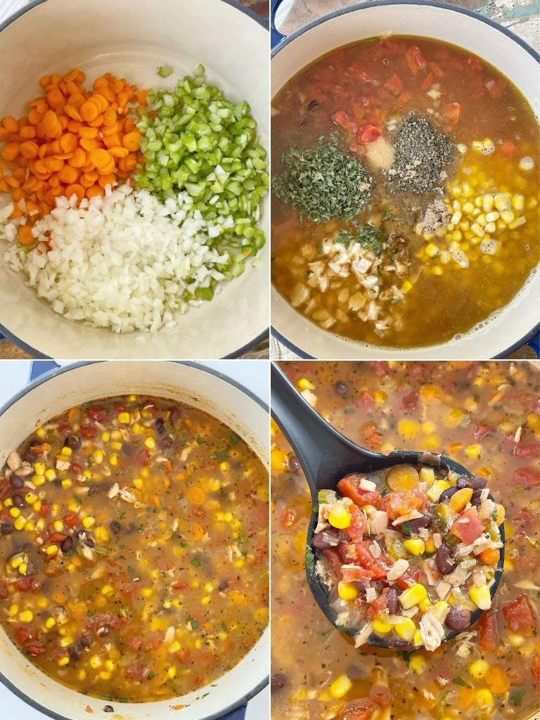 Chicken Tortilla Vegetable Soup