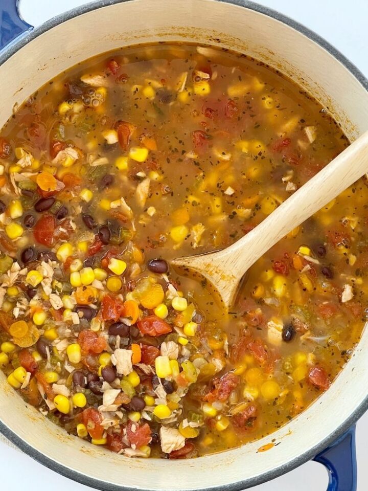 Chicken Tortilla Vegetable Soup - Together as Family