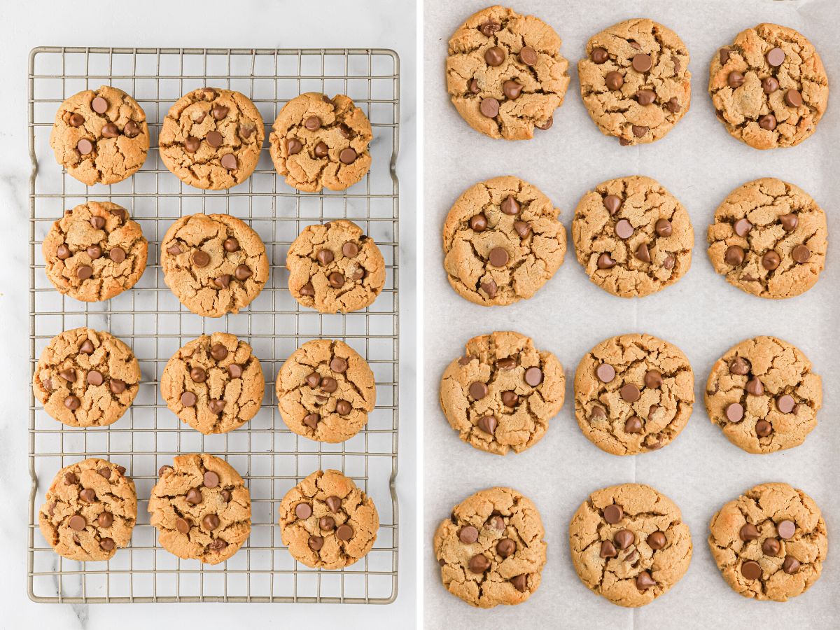 How to make these peanut butter chocolate chip cookies with no flour in them. 