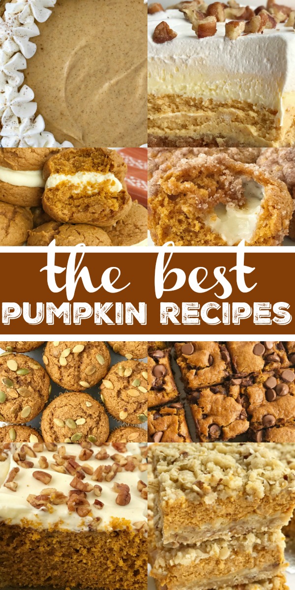 The Best Pumpkin Recipes | Pumpkin Desserts | Pumpkin Bread | Pumpkin Cheesecake | Pumpkin Sugar Cookies | The best pumpkin recipes all in one place! #pumpkin #pumpkinrecipes #pumpkincake #recipeoftheday 