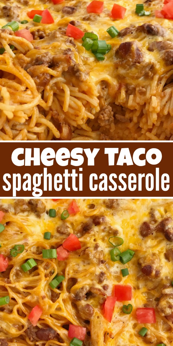 Cheesy Taco Spaghetti Casserole | Casserole Recipe | Dinner Recipe | Cheesy taco spaghetti casserole is the ultimate dinner comfort food. Cheesy pasta loaded with taco seasoned ground beef, chili beans, and tomato. Bakes in one pan, serves a crowd, and the leftovers are fabulous for another meal! #dinner #casserole #easydinnerrecipes #groundbeef