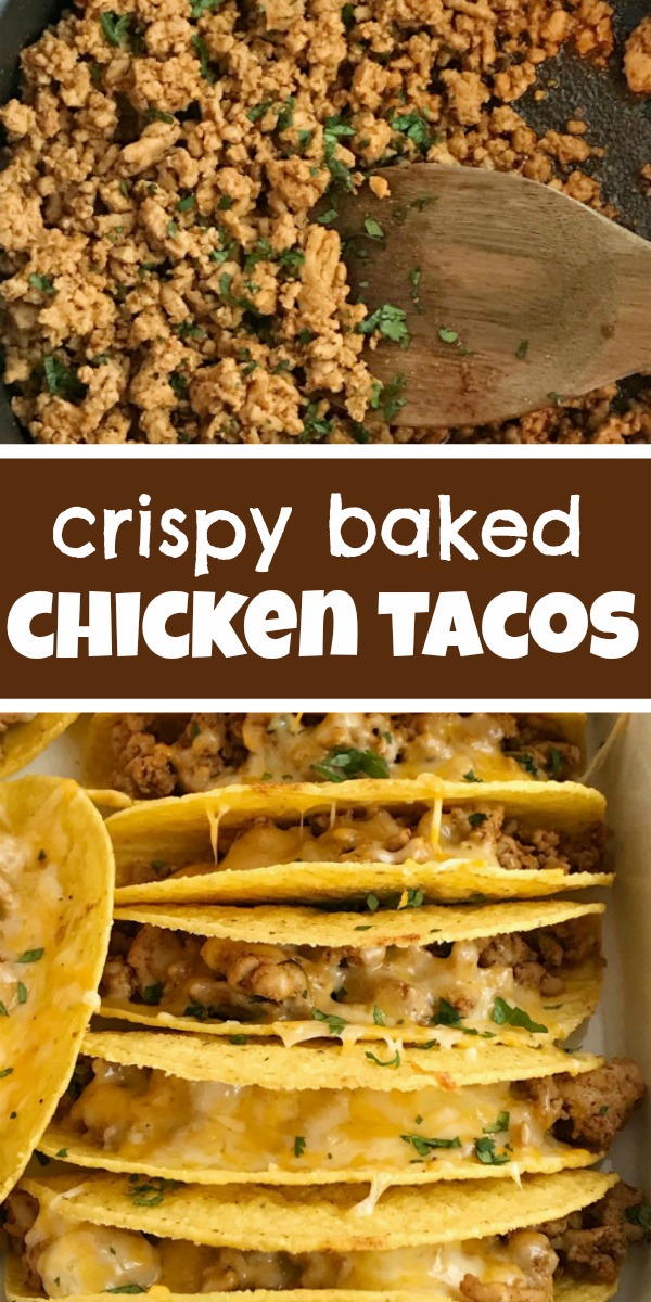 Baked Ground Chicken Tacos | Tacos | Mexican recipes | recipes with ground chicken | Baked ground chicken tacos are an easy, 30 minute dinner recipe! Crispy corn taco shells are filled with tender and flavorful ground chicken with homemade taco seasoning. So much flavor and healthy too! Load up the cheesy crispy tacos with all your favorite toppings #tacos #easydinnerrecipes #dinner #groundchicken #mexicanfood #recipeoftheday