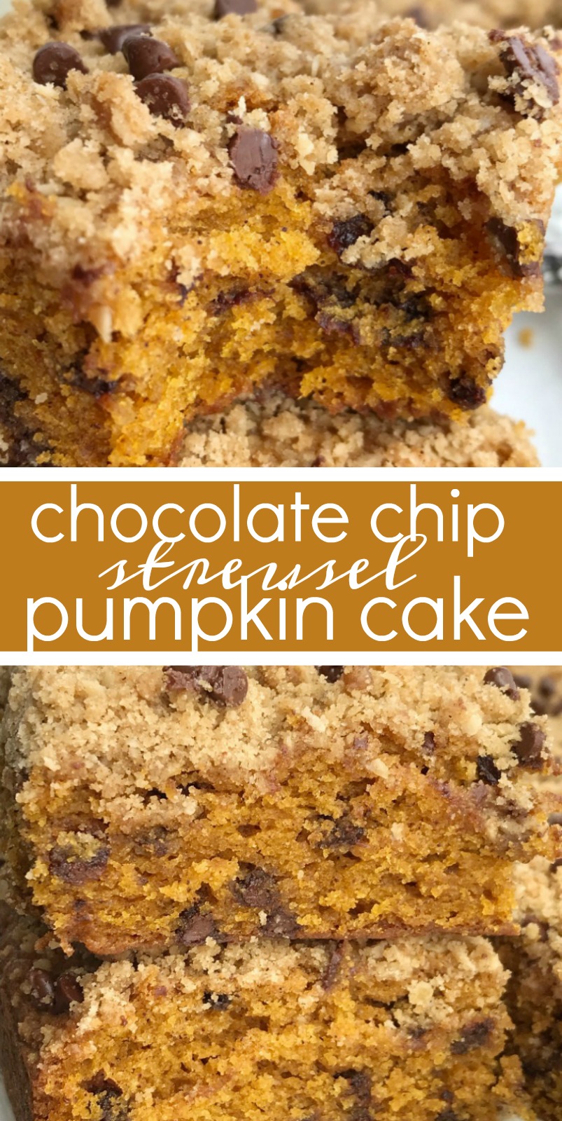 Chocolate Chip Streusel Pumpkin Cake | Chocolate Chip Pumpkin Cake | Pumpkin Recipes | The best pumpkin cake studded with chocolate chips and topped with a crumbly, sweet streusel topping. This chocolate chip streusel pumpkin cake is a fun twist to traditional pumpkin cake and oh so good! #pumpkinrecipes #pumpkin #cake #fallbaking #recipeoftheday #pumpkincake