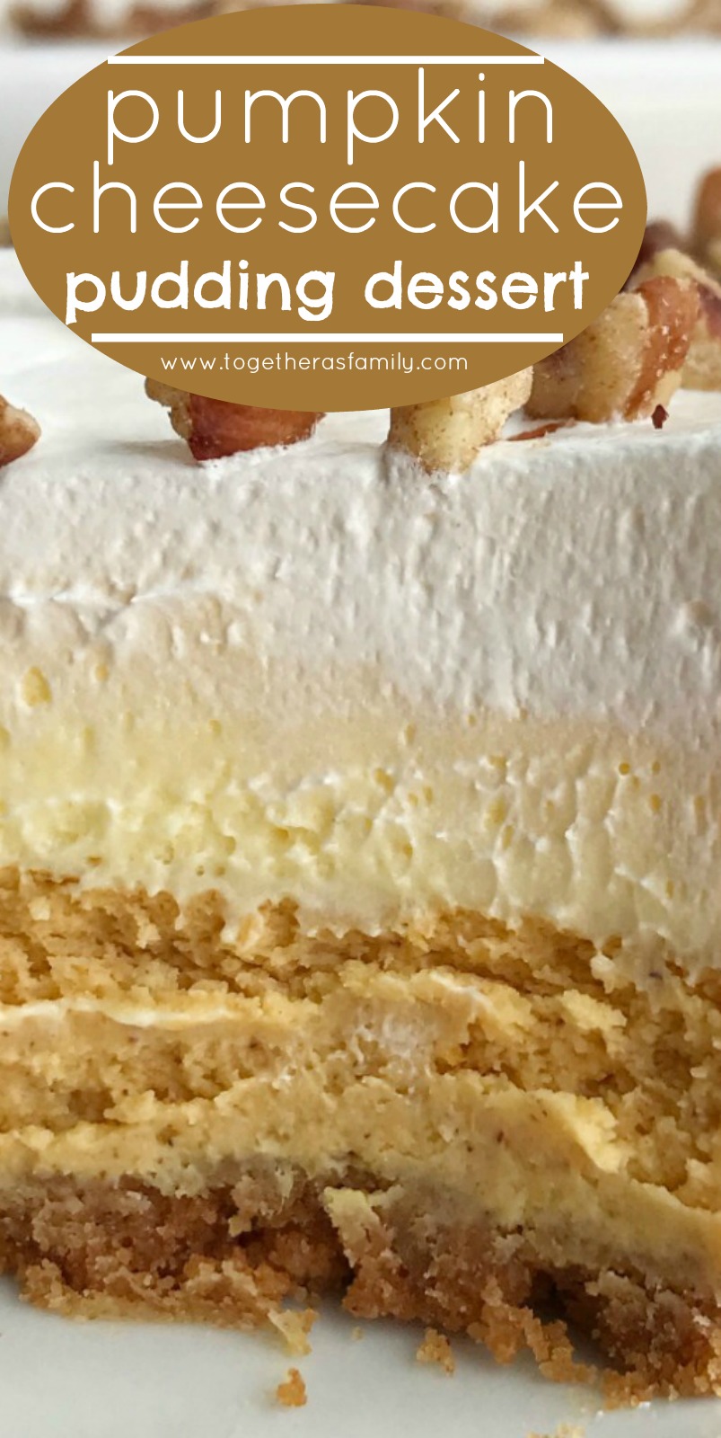 Pumpkin Cheesecake Layered Pudding Dessert | Pumpkin Dessert Recipe | Fall Baking | Pumpkin Recipes | Pumpkin cheesecake pudding dessert is a layered dessert made in a 9x13 baking dish. Cinnamon cracker crust, topped with a creamy pumpkin cheesecake, fluffy vanilla pudding, and Cool Whip. Garnish with pecans for the best pumpkin dessert this Fall. #pumpkin #pumpkinrecipes #cheesecake #dessertrecipe #fallbaking #recipeoftheday