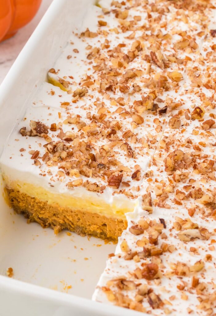 Side view of the pan with the layered dessert