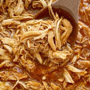 BBQ Root Beer Chicken is an easy 6 ingredient crock pot recipe! Perfectly moist, tender, fall apart shredded chicken that's perfect for sandwiches.