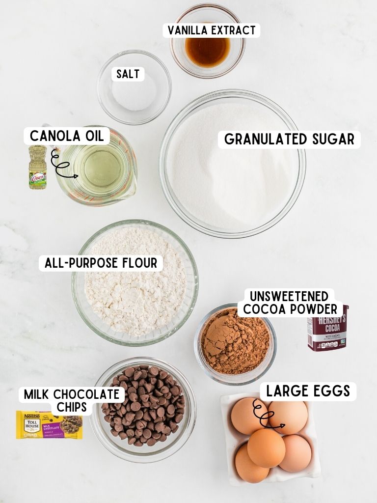 Ingredients for chocolate chip brownies on a white background with each one labeled in black text with what it is. 