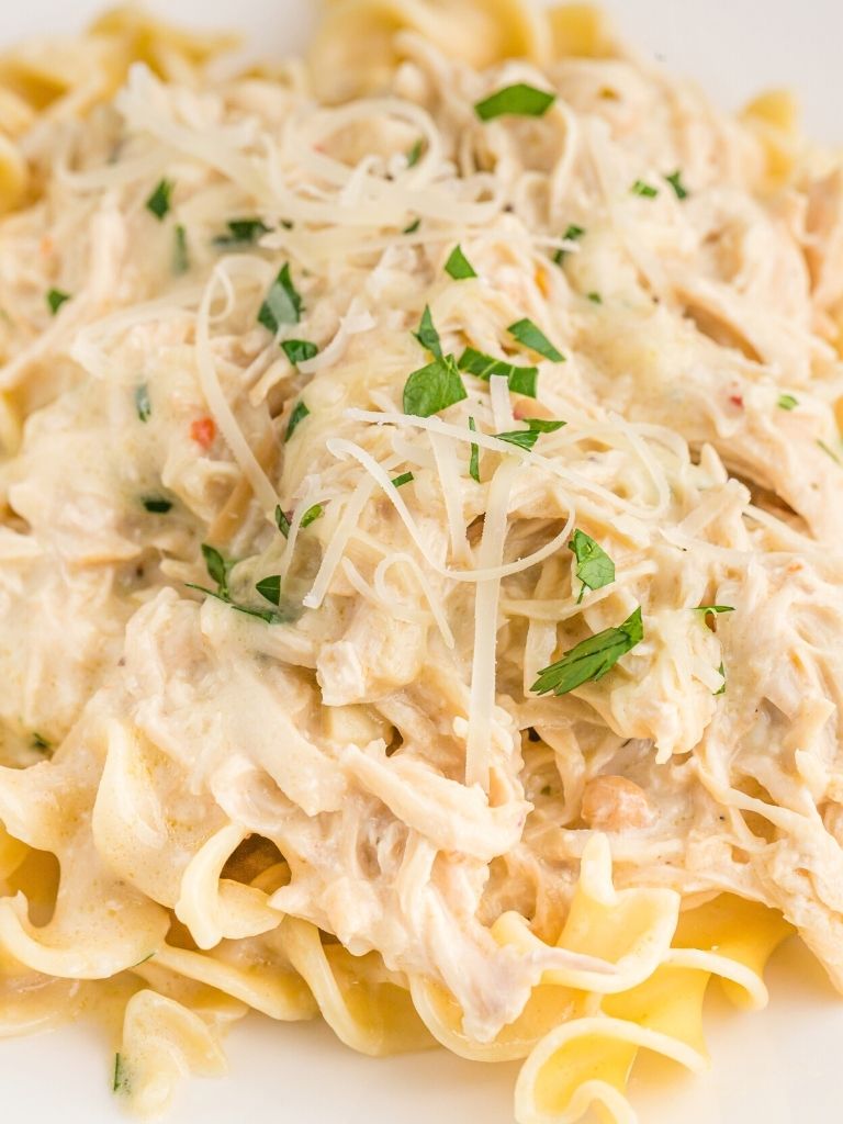 Dish of creamy chicken over some egg noodles on top a white plate.
