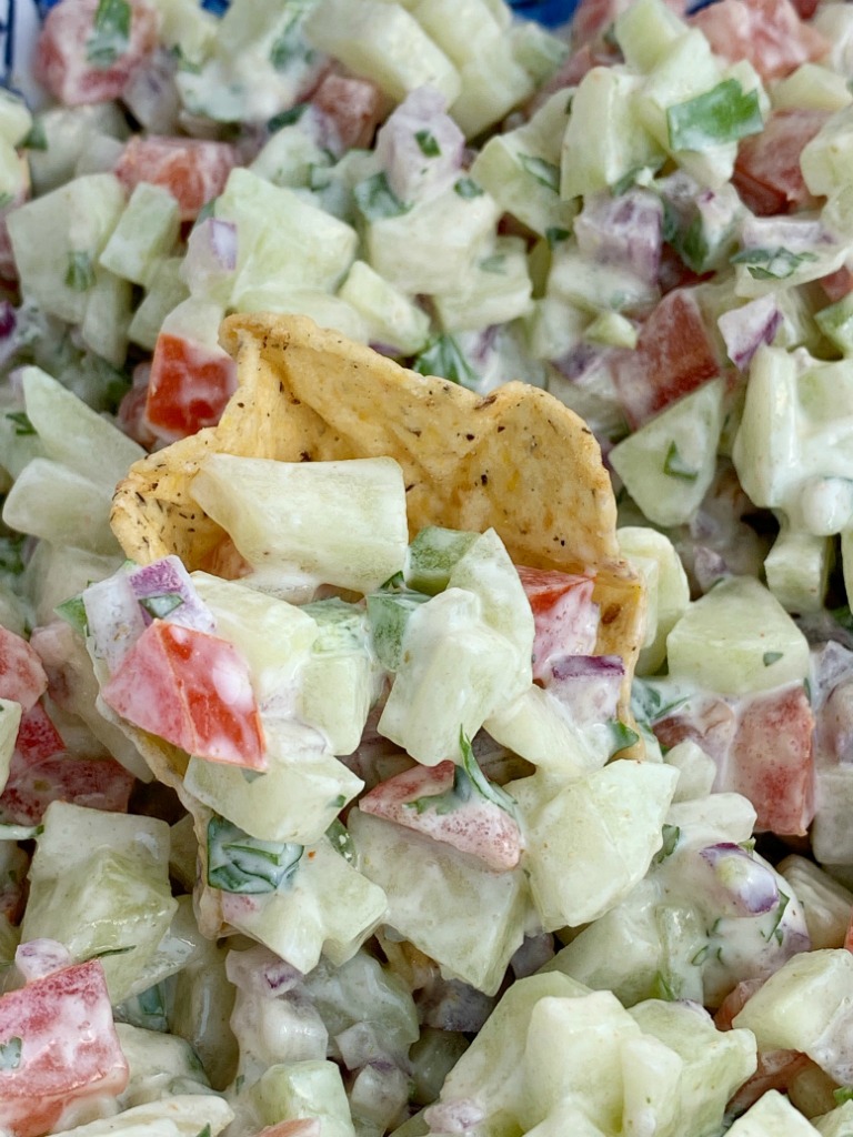 Cucumber Salsa | Healthy Recipe | Salsa Recipes | Cucumber salsa is full of fresh cucumber, tomatoes, cilantro, red onion, jalapeño, and a light & creamy seasoned dressing. Serve with chips, as a side dish, or on top of grilled meat for a deliciously light summertime recipe. #appetizerrecipes #salsas #dips #recipeoftheday #healthyrecipes #summerrecipes