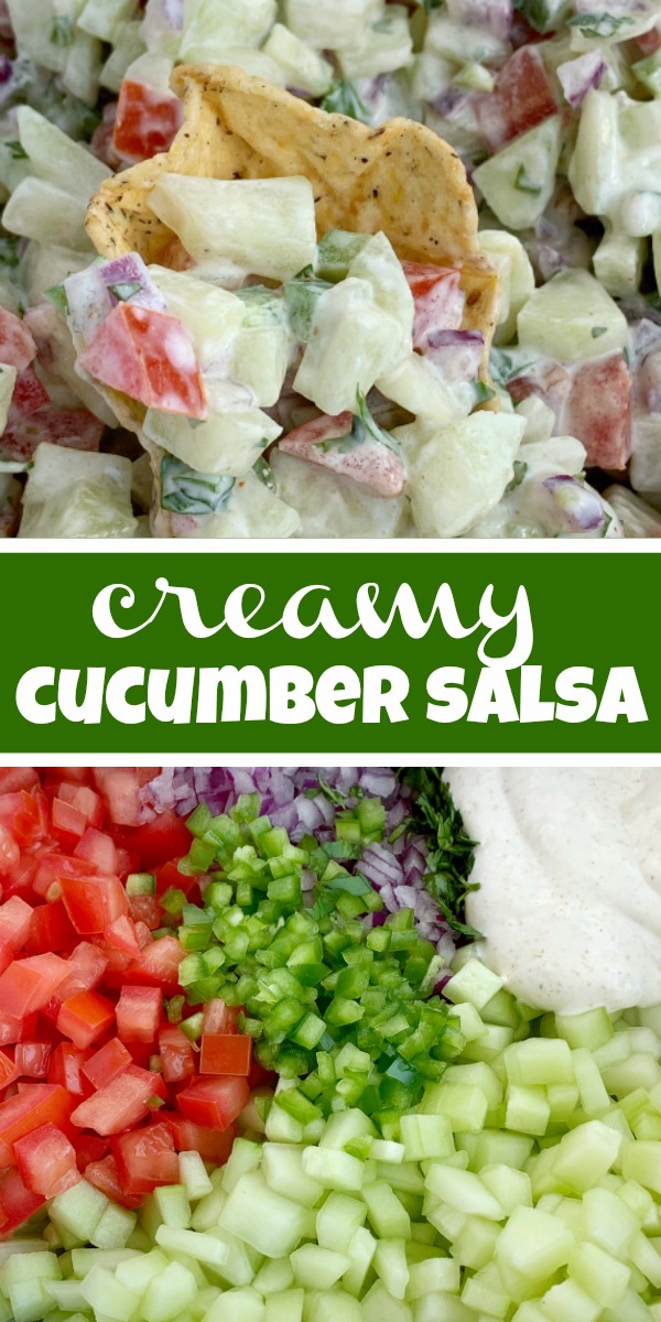 Cucumber Salsa | Healthy Recipe | Salsa Recipes | Cucumber salsa is full of fresh cucumber, tomatoes, cilantro, red onion, jalapeño, and a light & creamy seasoned dressing. Serve with chips, as a side dish, or on top of grilled meat for a deliciously light summertime recipe. #appetizerrecipes #salsas #dips #recipeoftheday #healthyrecipes #summerrecipes