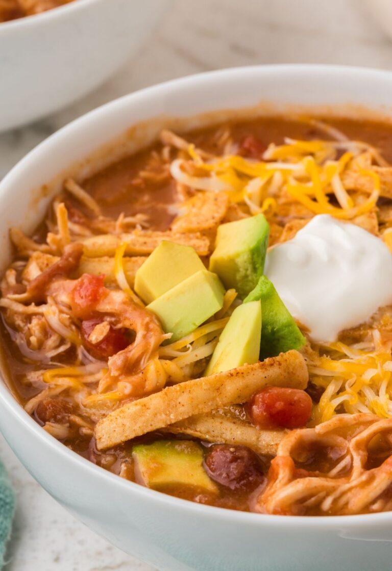 Side view of a white bowl of tortilla soup