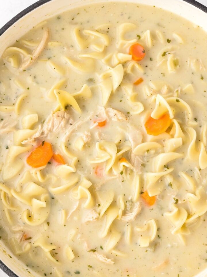 Creamy Chicken Noodle Soup Together as Family