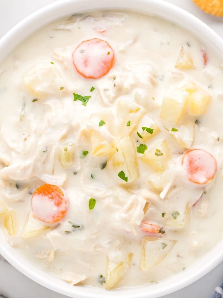 Close up shot of creamy soup inside a white bowl. 