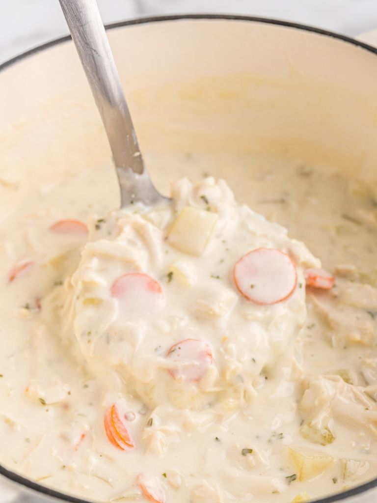 Soup ladle inside a pot with creamy soup.