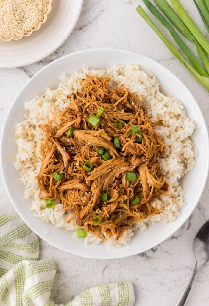 Overhead pic of the serving of sweet garlic chicken over rice
