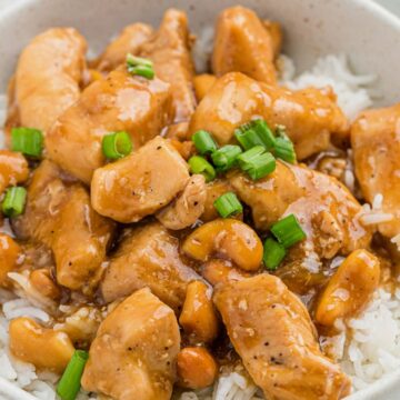 A white bowl of chicken with sauce and green onions, served over white rice.