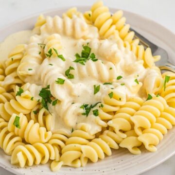 A plate with alfredo pasta on it and a fork.