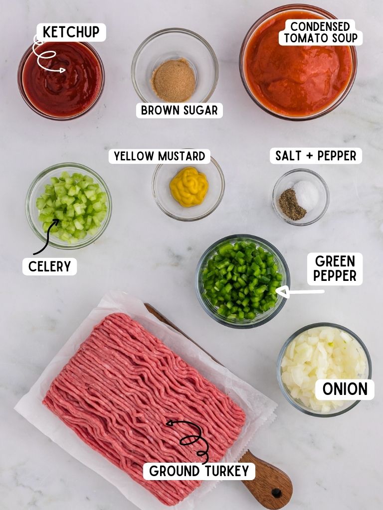 Ingredients needed to make this sloppy Joe recipe with each one labeled in black text with what it is. 