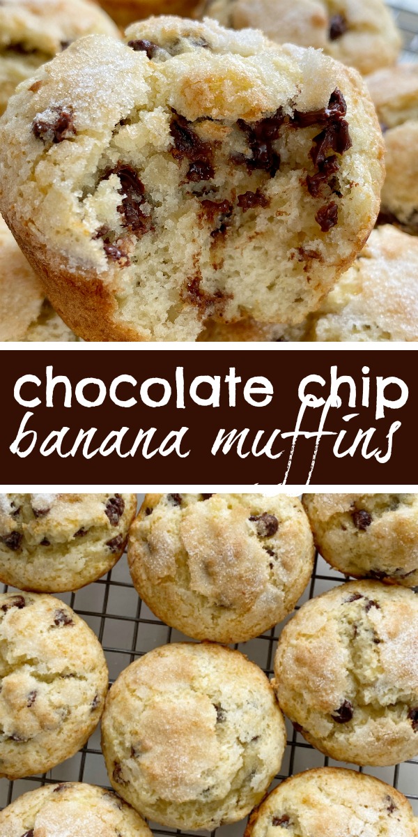Chocolate Chip Banana Muffins bake up perfectly tall and round, soft-baked banana muffins, with chocolate chips and a sprinkle of sugar on top. You will love how soft and beautiful these banana muffins are! #muffinrecipes #bananarecipes #bananarecipes #bananabread #recipeoftheday
