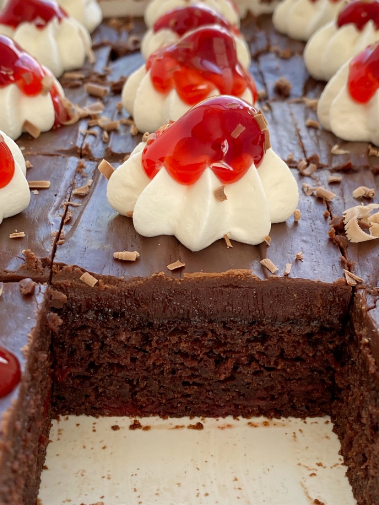 Chocolate Cherry Cake is an easy cake recipe that starts with a cake mix and canned cherry pie filling, and topped with a fudgy chocolate frosting. You won't believe how delicious and easy this is to make!
