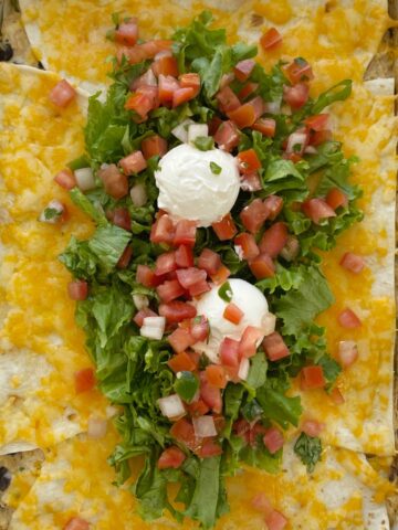 Mexican Lasagna is layered with flour tortillas, cheese, and a creamy chicken mixture of black beans, corn, sour cream, salsa verde, and seasonings. An easy, one pan dinner that is best served with all the toppings. We love lettuce, pico de gallo, and sour cream!