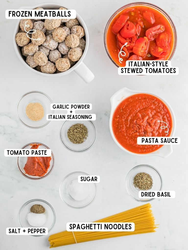 Ingredients needed to make spaghetti and meatballs with each one labeled with the what it is. 