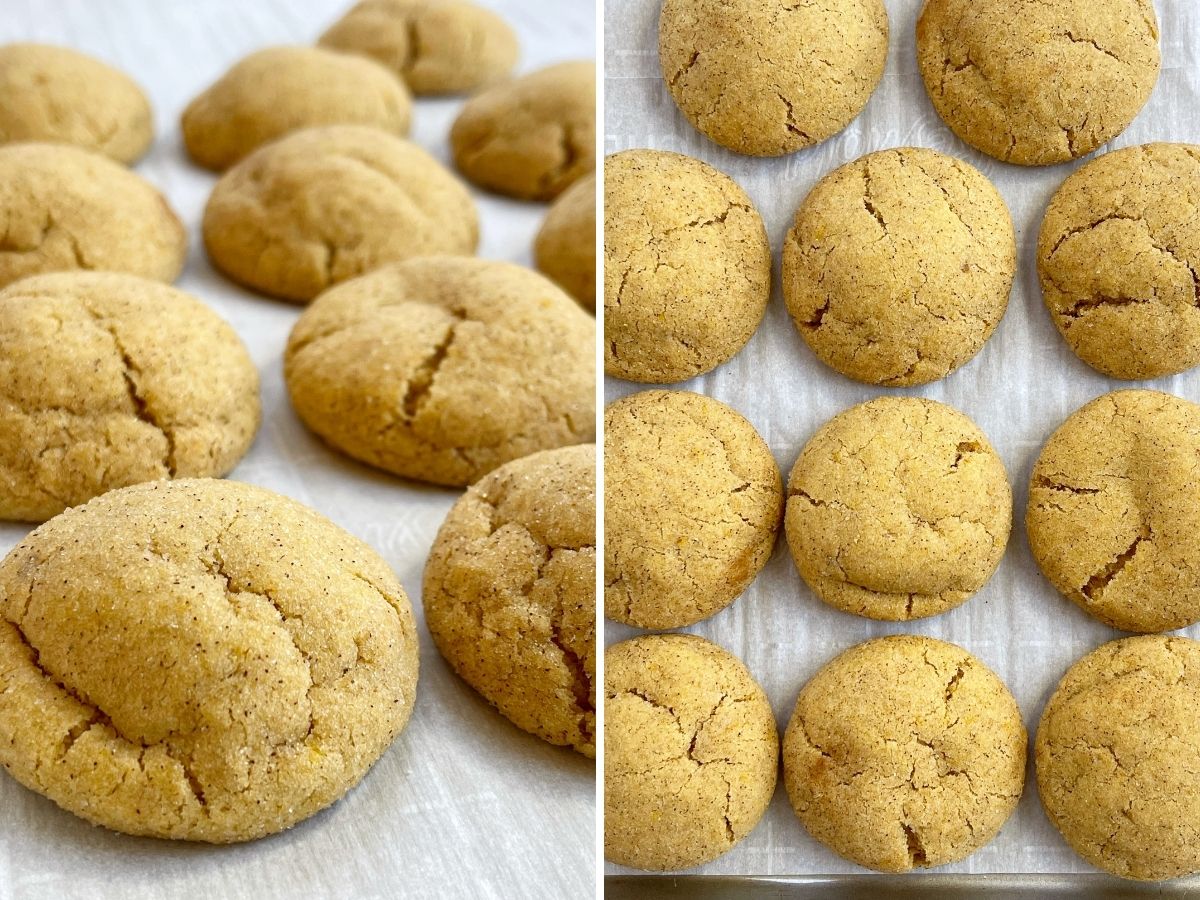 Close up shot of baked pumpkin snickerdoodle cookies in a collage with two pictures. 