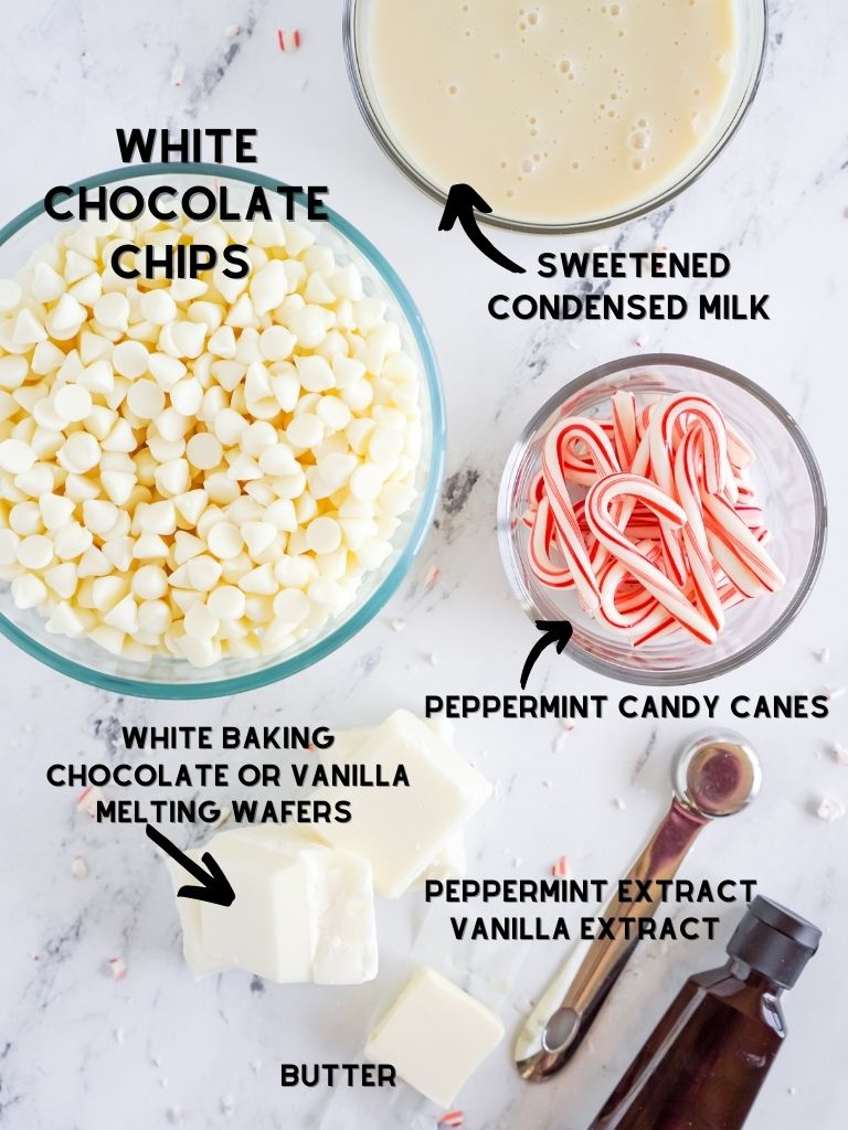 Ingredients needed to make peppermint fudge with each ingredient shown and labeled with what it is. 