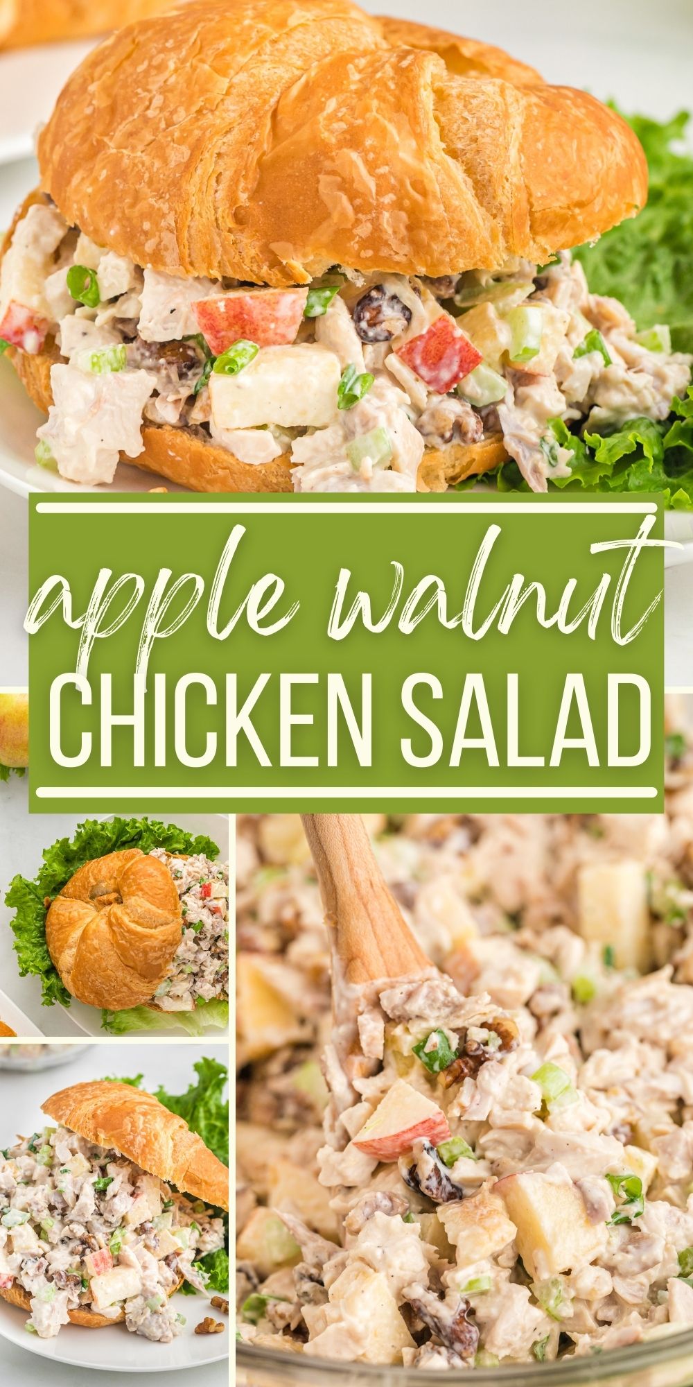 Apple Walnut Chicken Salad Together as Family