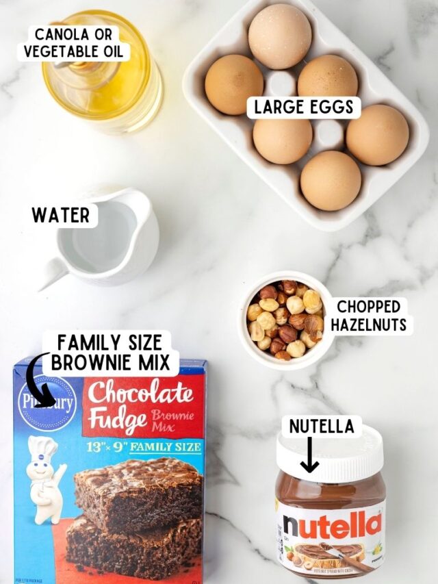 Nutella Brownies (Made With a Boxed Brownie Mix) Together as Family