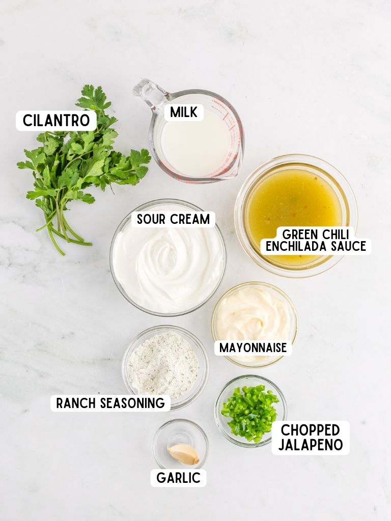 Ingredients needs for this dip recipe laid out on a white background and each one labeled in black text with what it is. 
