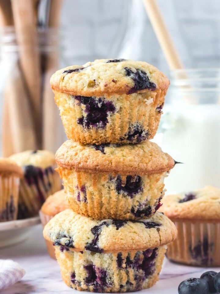 Blueberry Muffins - Together as Family