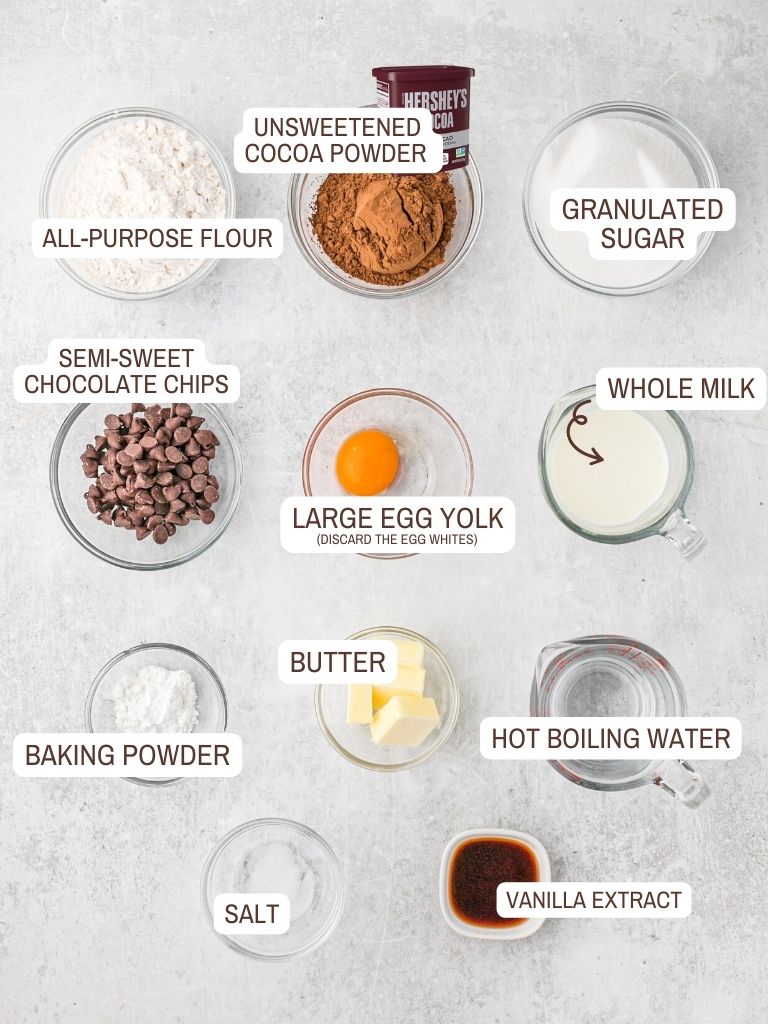Ingredients for this recipe laid out on a white background with each one labeled in text with what it is. 