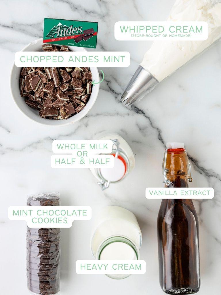 Ingredients to make this mint hot chocolate with each one labeled in text. 