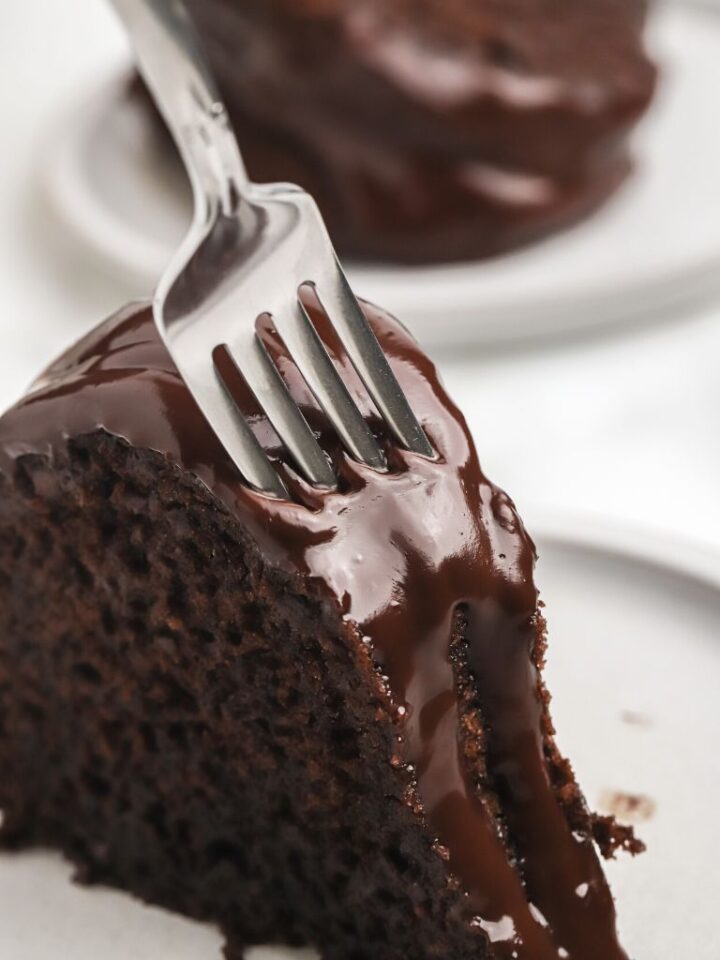 Chocolate Brownie Bundt Cake Together as Family