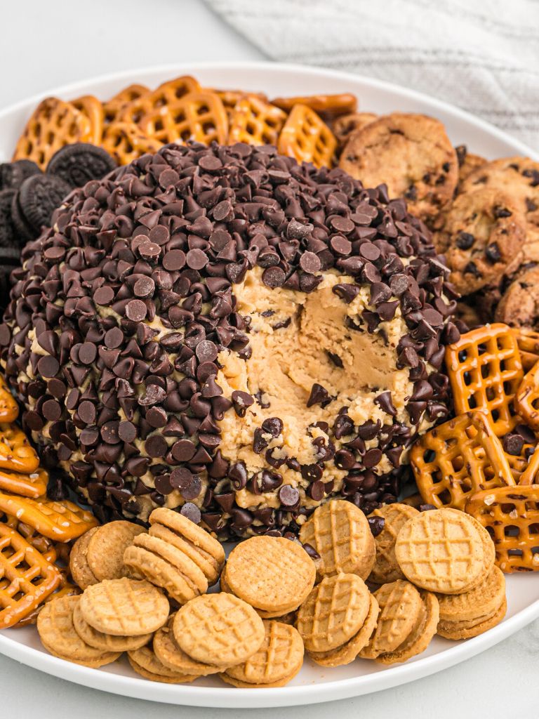 Plate with a cheeseball on it, for dessert, with cookies and pretzels around it on a white plate.