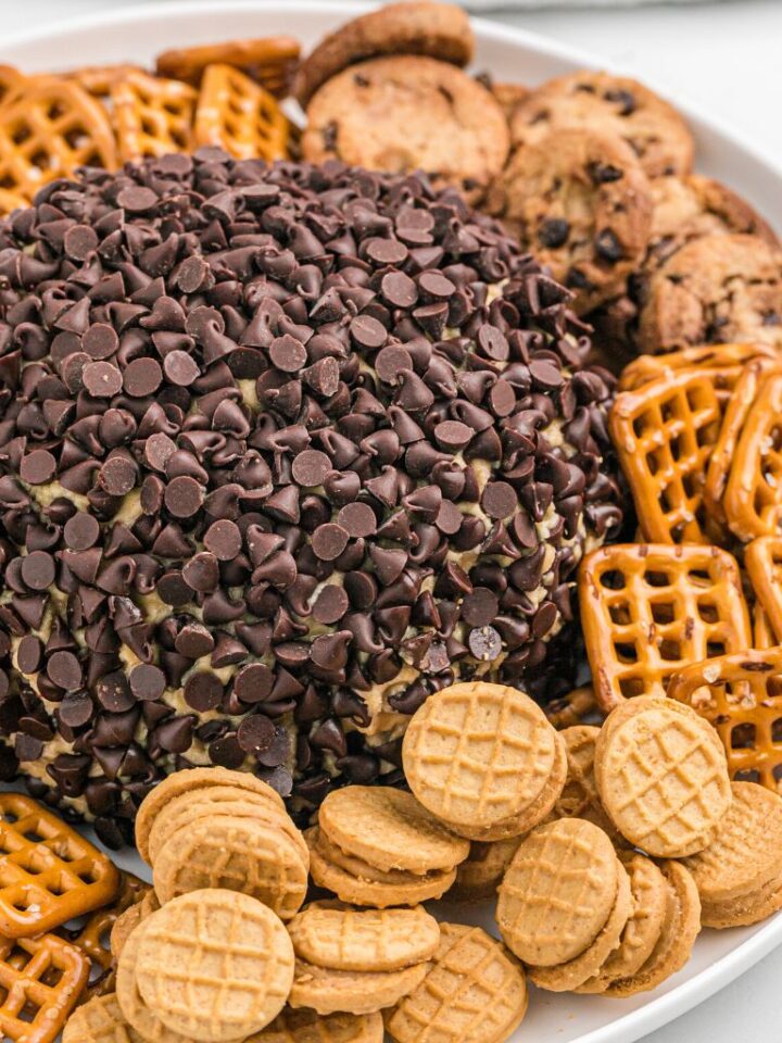 Peanut Butter Cookie Dough Cheeseball Together as Family