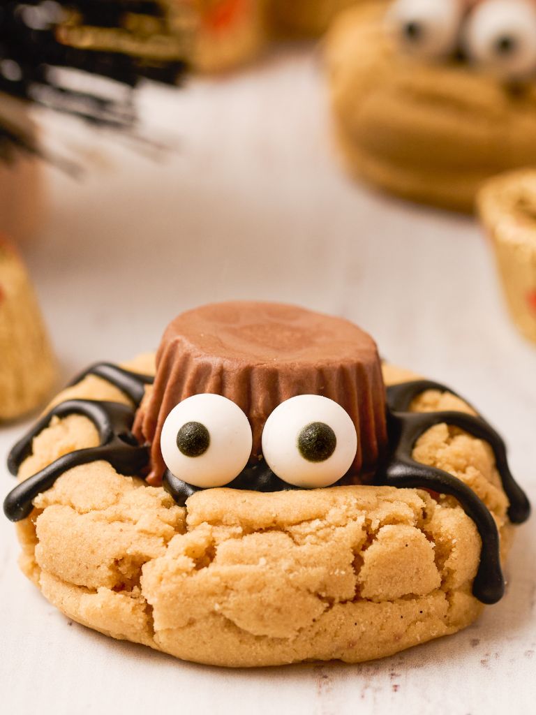 Close up shot of a spider cookie