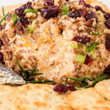 A cheeseball covered in dried cranberries and pecans with rosemary sprigs on it.