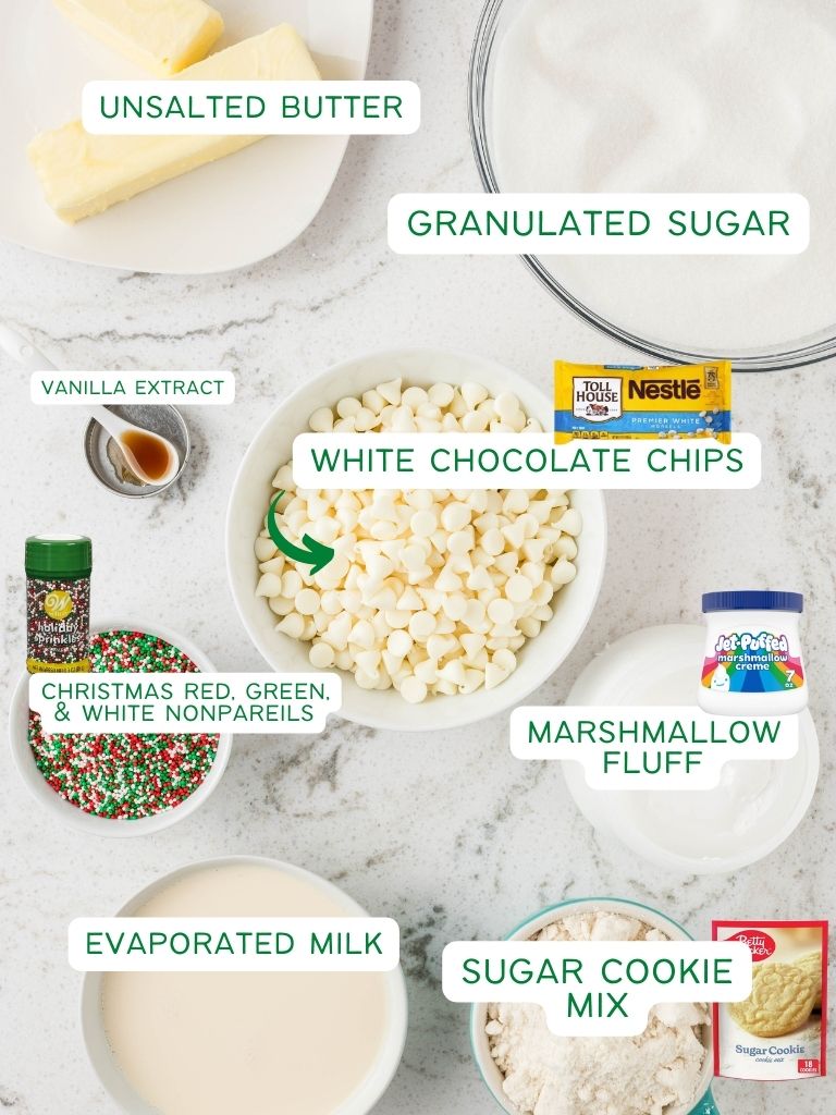Ingredients for this fudge recipe on a white background with each one labeled. 