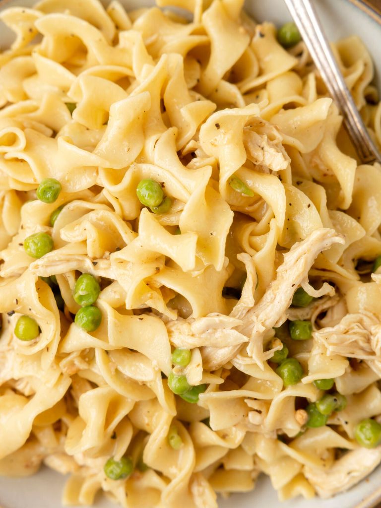 Close up picture of egg noodles plus chicken. 