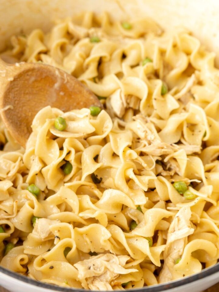 One Pot Chicken and Noodles - Together as Family