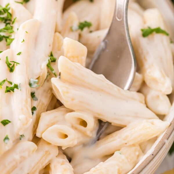 White Sauce Penne Pasta Together as Family