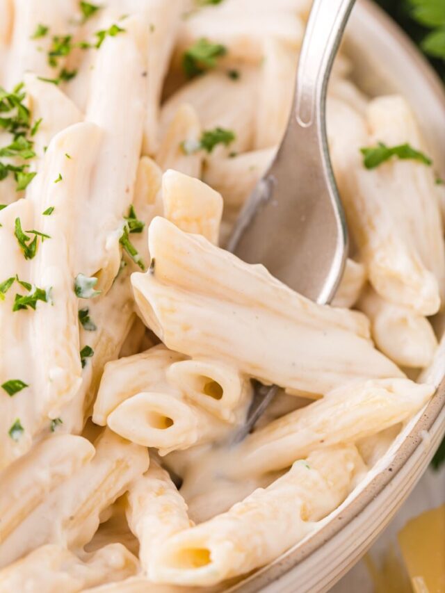 White Sauce Penne Pasta Together as Family